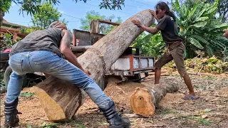 Requires skills‼️ Cutting teak trees from frame materials - assembled serkel machine