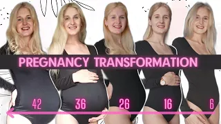 PREGNANCY TRANSFORMATION Беременность по неделям Pregnancy Week by Week