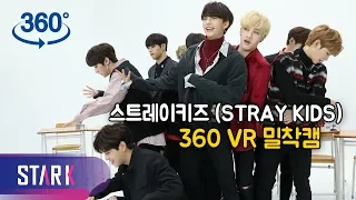 [IDOL 360] ※심멎 주의※ 슼둥이들이 다가옵니다…스트레이키즈 밀착캠 (Stray Kids 360 vr cam)