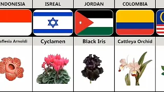 National Flower From Different Countries | World Info fan