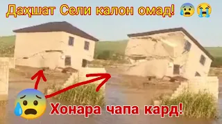 Сел Хонаро Бурд 😰😭