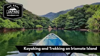 Kayaking and Trekking on Iriomote Island, Okinawa | The Real Japan | HD