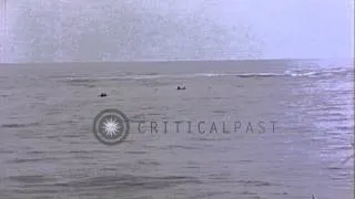 Survivors of USS Bunker hill and a destroyer escort in the Pacific Ocean during W...HD Stock Footage