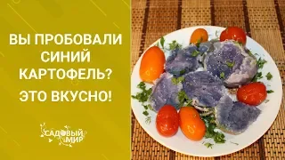 Вы пробовали синий картофель? Это вкусно!