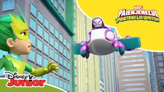 🚦Semaforul | Păienjenelul Marvel și prietenii lui uimitori | Disney Junior România