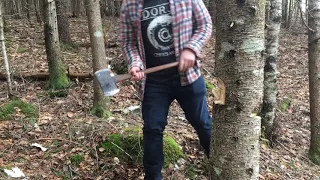 MAN Chops Down Tree With 100 YEAR OLD AXE !!!