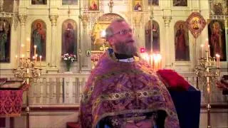 Orthodox Sermon - 3rd Sunday of the Great Fast