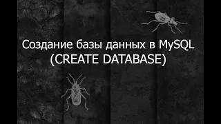 QA 2. Создание базы данных (CREATE DATABASE) в MySQL Workbench