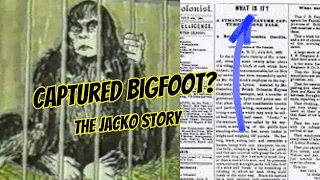 👉Bigfoot Captured - The Jacko Story 📰👀