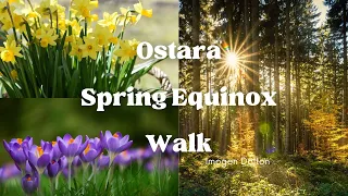 Ostara spring equinox walk