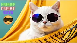 Funny Cat Videos Compilation😹Funniest Cat Videos in The World😺Funny Cat Videos Try Not To Laugh  #62