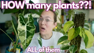 ALL my plants: full house tour (before the big home renovation) | Plant with Roos