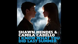 (Pop/미디엄템포)_Camila Cabello,Shawn Mendes - I Know What You Did Last Summer