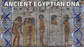 Ancient Egyptian DNA | Egyptologist Dr. Juan Carlos Moreno García
