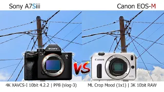 CANON EOS-M 3K 10bit RAW vs SONY A7Siii 4K | (Magic Lantern Crop Mood RAW)