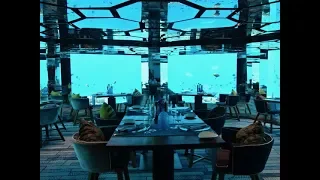 Sea Underwater Restaurant, Anantara Kihavah Resort, Maldives