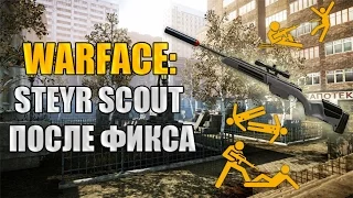 Warface: Стоит ли выбивать Steyr Scout (Муха) после фикса?