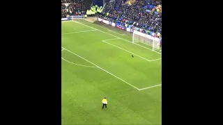 Black cat interrupts Everton-Wolves game, with professional commentary from John Acres