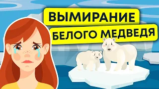 Полярные медведи | На пороге исчезновения | Экология 13+