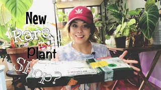 UNBOXING plants from Indonesia! | AroidMarket 🌱