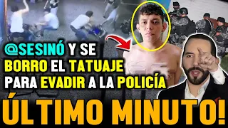 As3sinó y se borro el tatuaje para evadir a la policía pero no engañará a Bukele