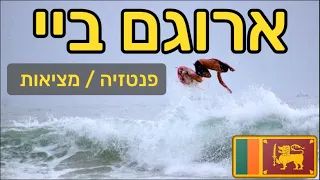 ארוגם ביי סרי לנקה ולוג גלישה