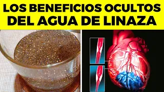 INCREIBLES BENEFICIOS de TOMAR Agua de LINAZA para tu cuerpo, esto ocurre cuando tomas linaza