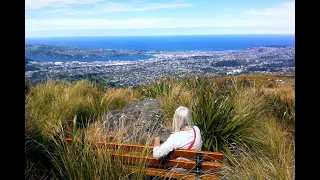 Tuesday Club - Dunedin Amenities Society