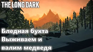 Жизнь после крафта патронов. Выживаем в The Long Dark.