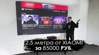 XIAOMI 100 INCH screen / WHAT ARE YOU?