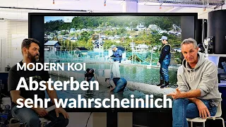 Wie rettet man einen Beadfilter während eines Filterumbaus | Modern Koi Blog #6430