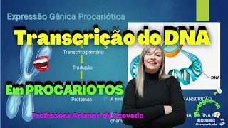 Transcrição do DNA em Procariotos