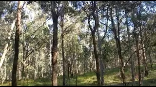 western Sydney parkland morning time.