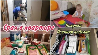 МНЕ НАДОЕЛ СРАЧ! Чистота и порядок в доме! Поделка// Покупки