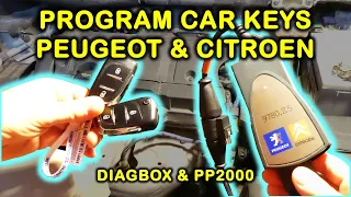 Program car keys in Peugeot & Citroen using Diagbox and PP2000 (Peugeot Planet 2000)