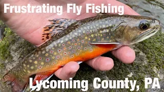 Frustrating Fly Fishing, Lycoming County, PA - Wooly Bugged