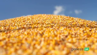 NCGA 2017 – David Hula World Record Corn Yield (542 bu/a, 2017)