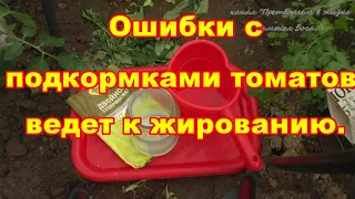 Подкормки при высадке томатов в грунт привели к жированию,как исправить ситуацию