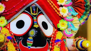 🙏❤Alapa Dinaku Aneswata Asa Odia Jagannath Bhajan Status Video ❤🙏