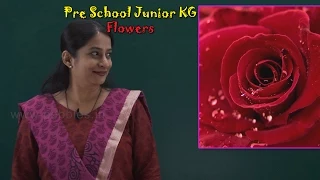 Let’s Learn About Flowers | Learn Flowers For Kids | Pre School Junior | Flowers Song