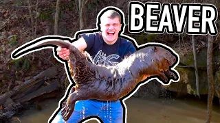 I Trapped MASSIVE BEAVERS for the First Time! (40 Pounds)