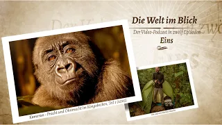 Die Welt im Blick - der Video-Podcast 🌎 Episode Eins: Kamerun (2003)