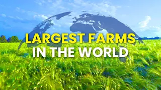 Largest Farms in the World Ranked