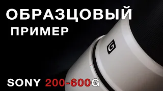 SONY 200-600G - ОБРАЗЦОВЫЙ ПРИМЕР