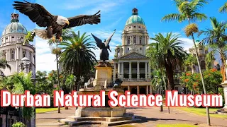 Durban Natural Science Museum