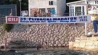 39.plivacki maraton Njivice-Herceg Novi 2022.