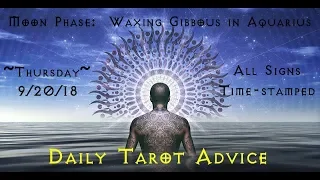 9/20/18 Daily Tarot Advice ~ All Signs, Time-stamped