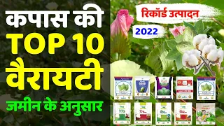 कपास, नरमा की टॉप 10 वैरायटी | No1 Variety of Cotton 2023 | Kapas ki Top Variety | Kapas ki kheti