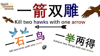 Quick Chinese Idioms Ep31: 一箭双雕 kill two hawks with one arrow + 一石二鸟 and 一举两得