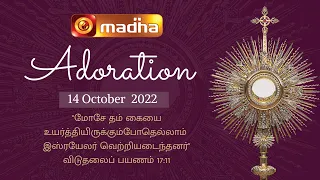 🔴 LIVE 14 October 2022 Adoration 11:00 AM | Madha TV
